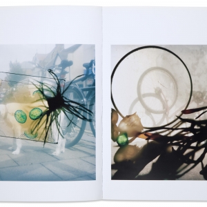 Brighton Photo Biennial, 2010