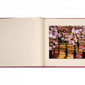 Cherry Blossom Time in Tokyo, 2001