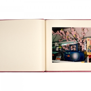 Cherry Blossom Time in Tokyo, 2001