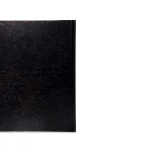 Darkroom: Michel Campeau, 2007