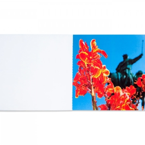 Flowers, 2000