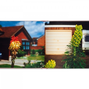 Flowers, 1999