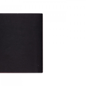 From Tintypes to Teatowels, 2011