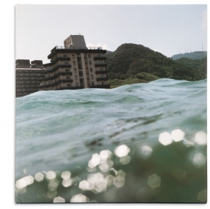 Half Awake and Half Asleep in the Water:  Asako Narahashi, 2007