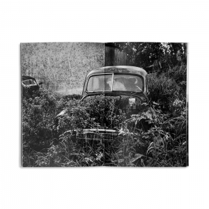Abandoned Morris Minors of the West of Ireland, 2017