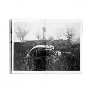 Abandoned Morris Minors of the West of Ireland, 2017