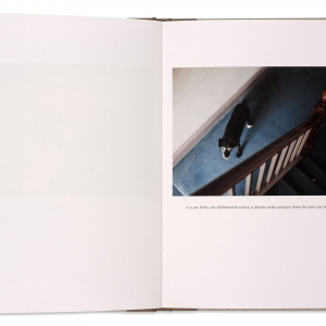 One Day: 10 Photographers, 2010