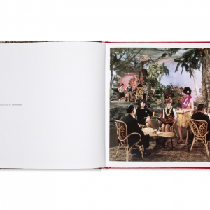Our True Intent Is All For Your Delight, 2011