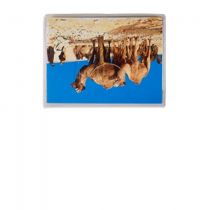 Souvenir du Maroc, 2001