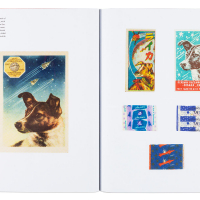 Space Dogs, 2019