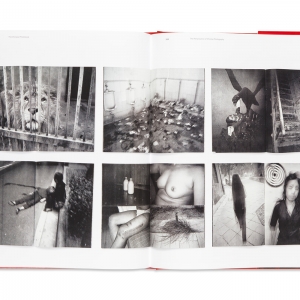 The Chinese Photobook, 2015