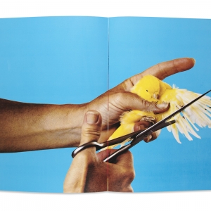 ToiletMartin PaperParr, 2018